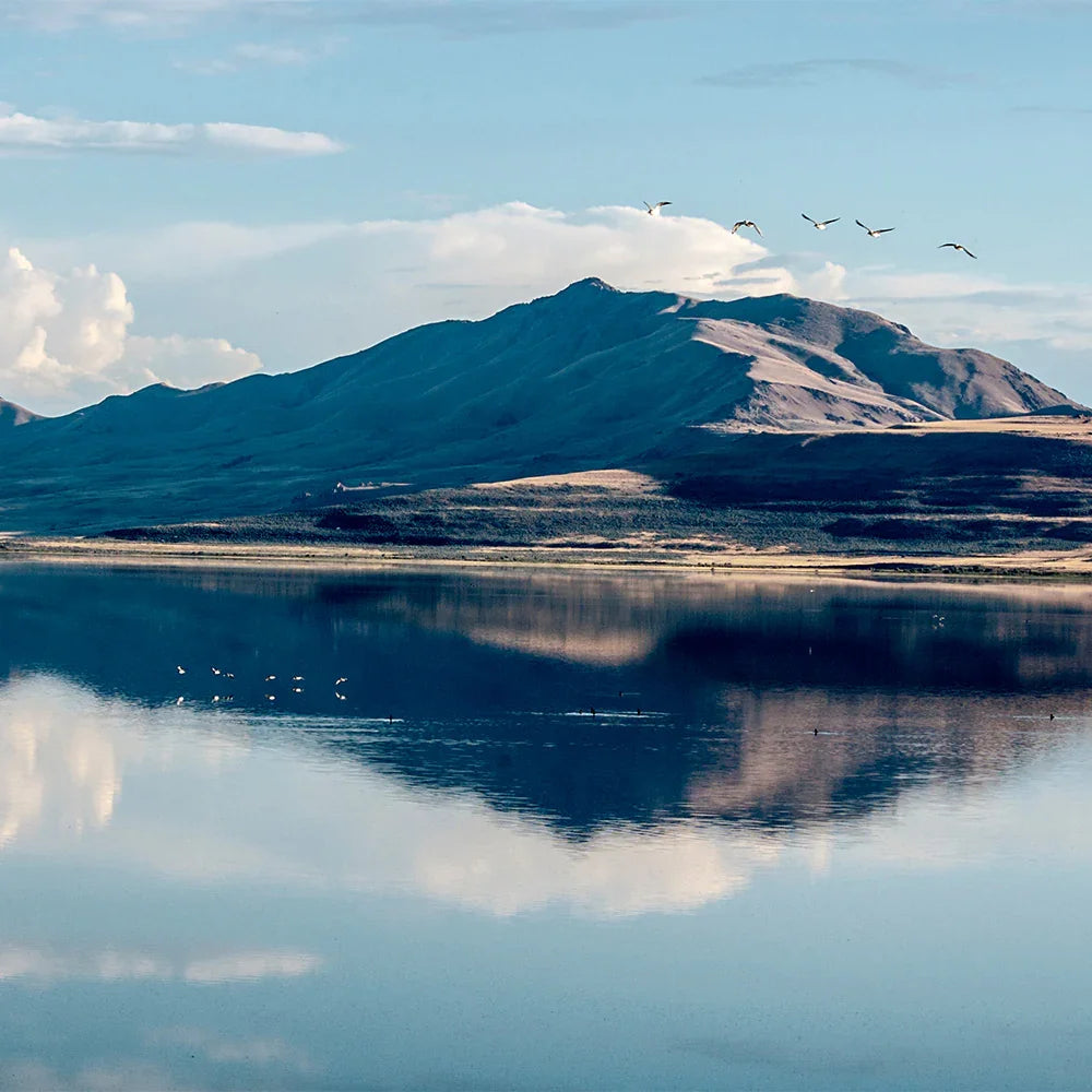 Mountain reflected in a calm lake with birds flying above
